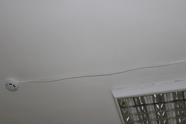 У мерії Луцька пояснили, чим скомпрометував себе учасник тендеру на реконструкцію зоокуточка